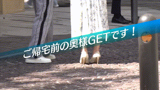 ewdx538【一花】最上一花 エロGIF 1